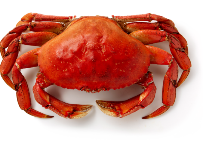 https://www.alaskaseafood.org/wp-content/uploads/crab-2.png